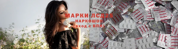 гашик Новодвинск