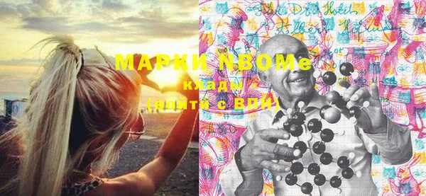гашик Новодвинск