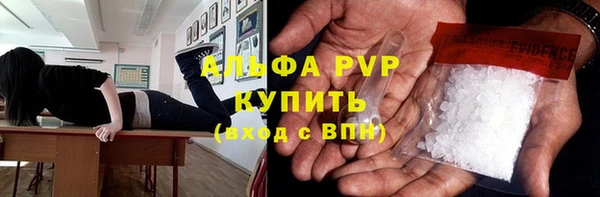гашик Новодвинск
