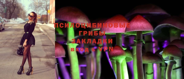 MDMA Premium VHQ Новозыбков