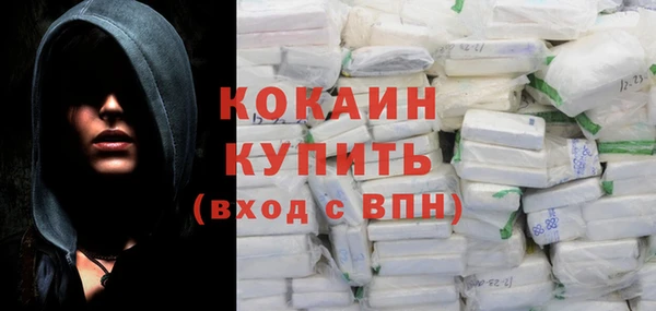 гашик Новодвинск