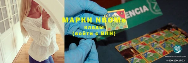 СК Новокубанск