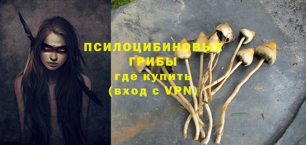 гашик Новодвинск