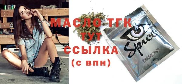 гашик Новодвинск