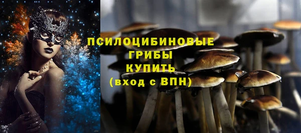 гашик Новодвинск