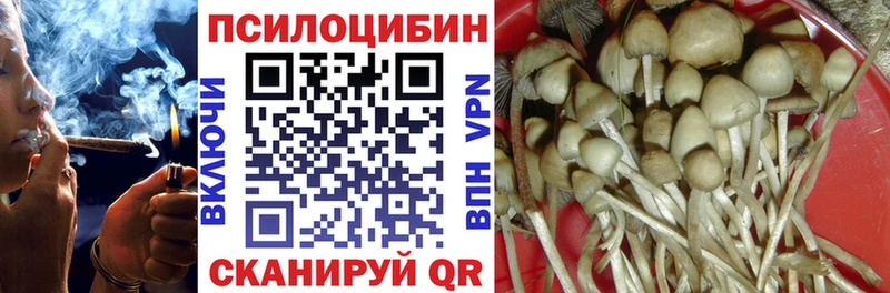 блэк спрут сайт Белоярский Галлюциногенные грибы ЛСД